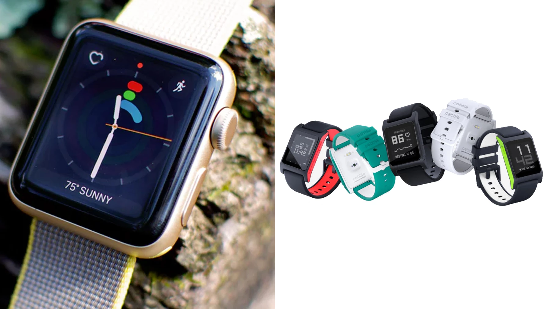 Apple Watch Series 2 (L) made incremental gains this year, but the smartwatch company Pebble (R) shut its doors