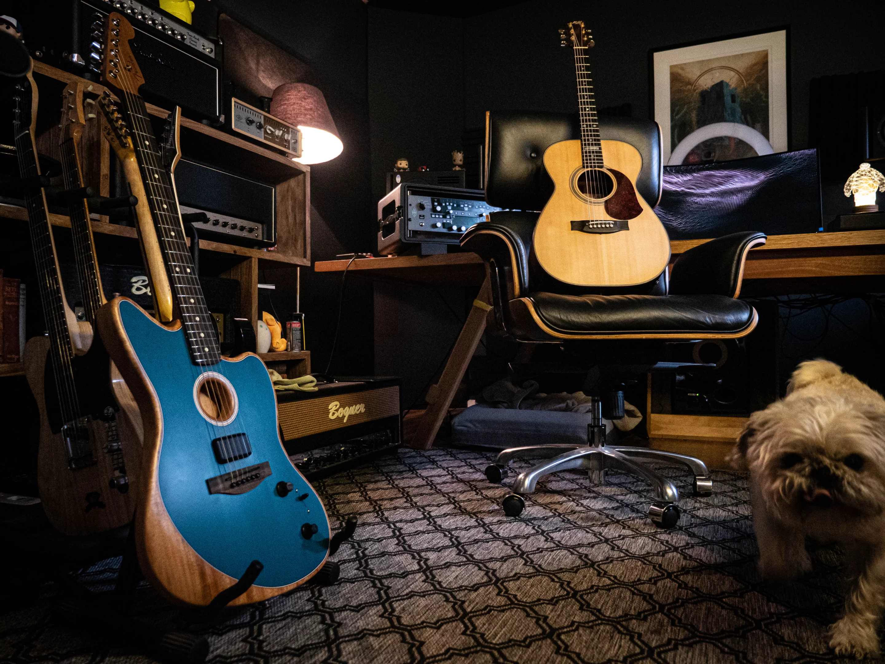 In our back-to-back tests, the Acoustasonic stood up surprisingly well against a nice stage acoustic in the Maton 808. Oscar the dog approves, too