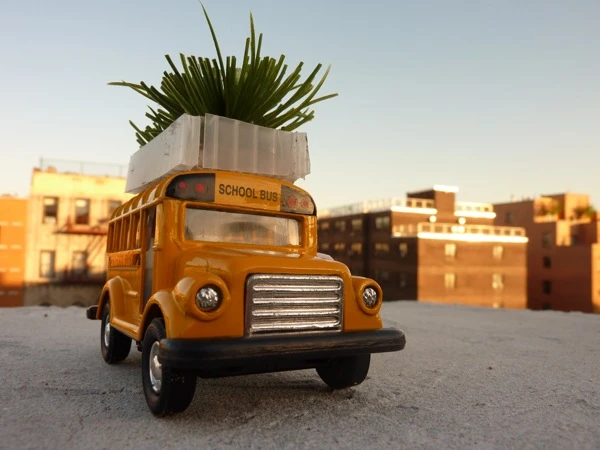 A bus roof garden model (Image: Marco Castro Cosio)
