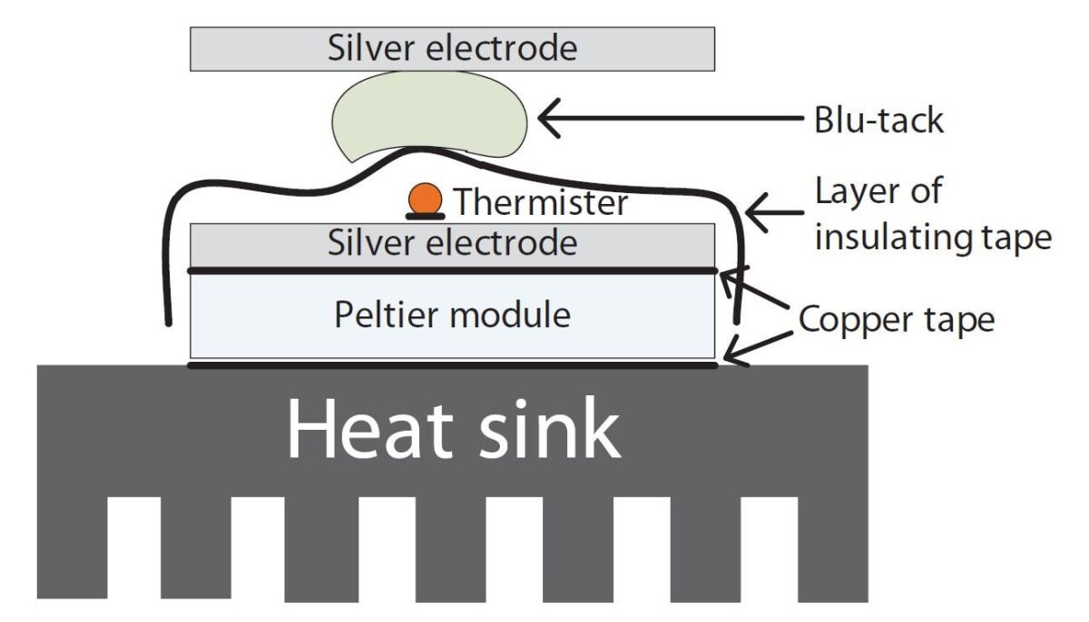 Tongue interface for combined electrical and thermal stimulation (Photo: National University of Singapore)
