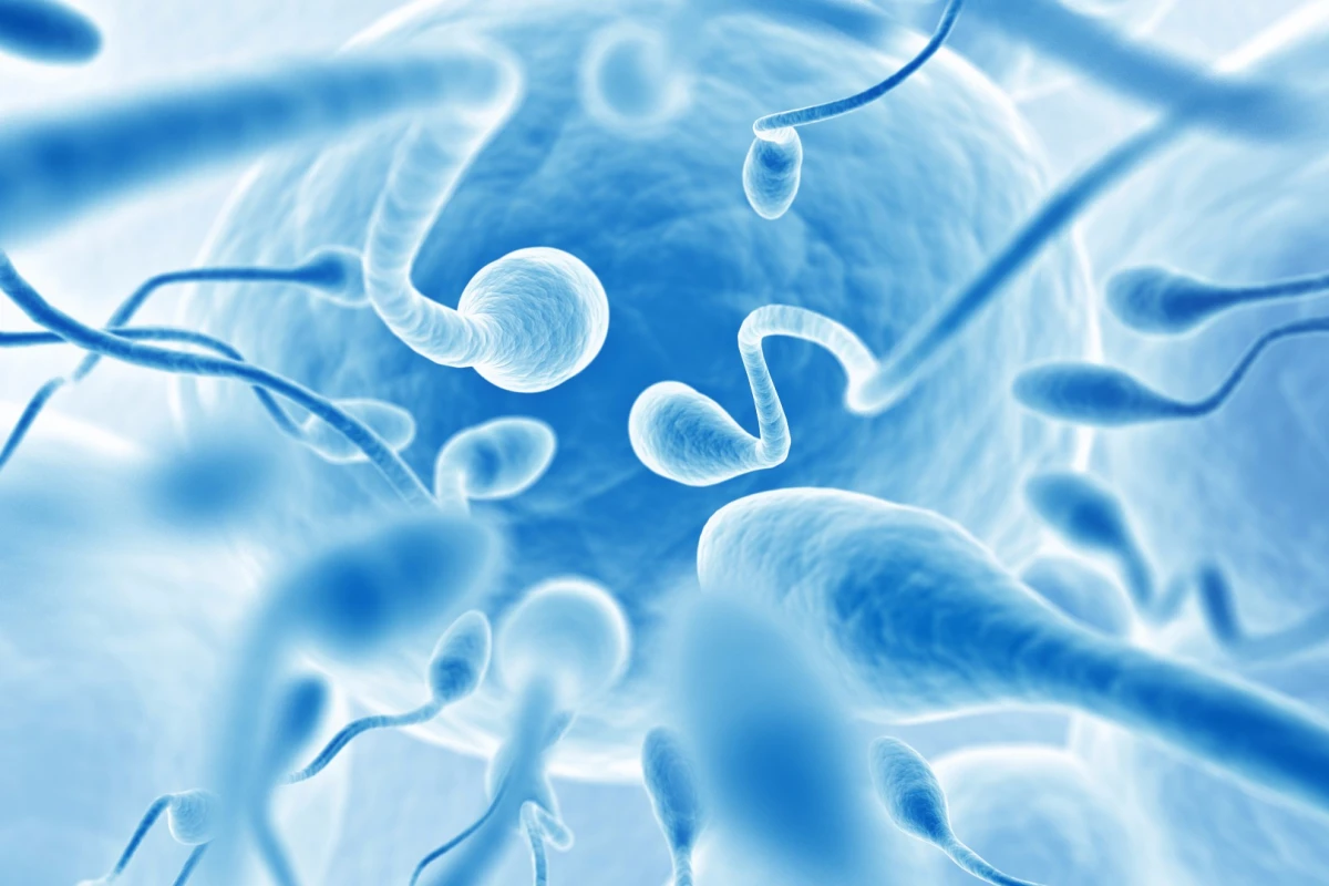 A large-scale meta-analysis of 185 studies across 40 years has found total sperm count among men in the West is in decline