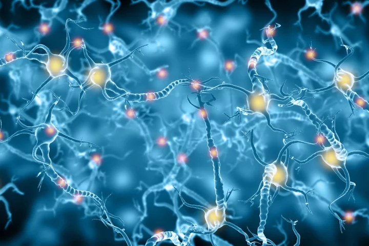 The same mechanism explaining how SSRI antidepressants function has been found in the activity of ketamine