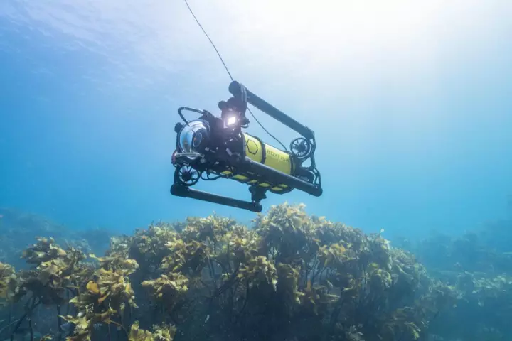 The Boxfish ROV boasts a 1,000-meter max depth, which requires twin ultra-bright 10,000 lumen LED lighting