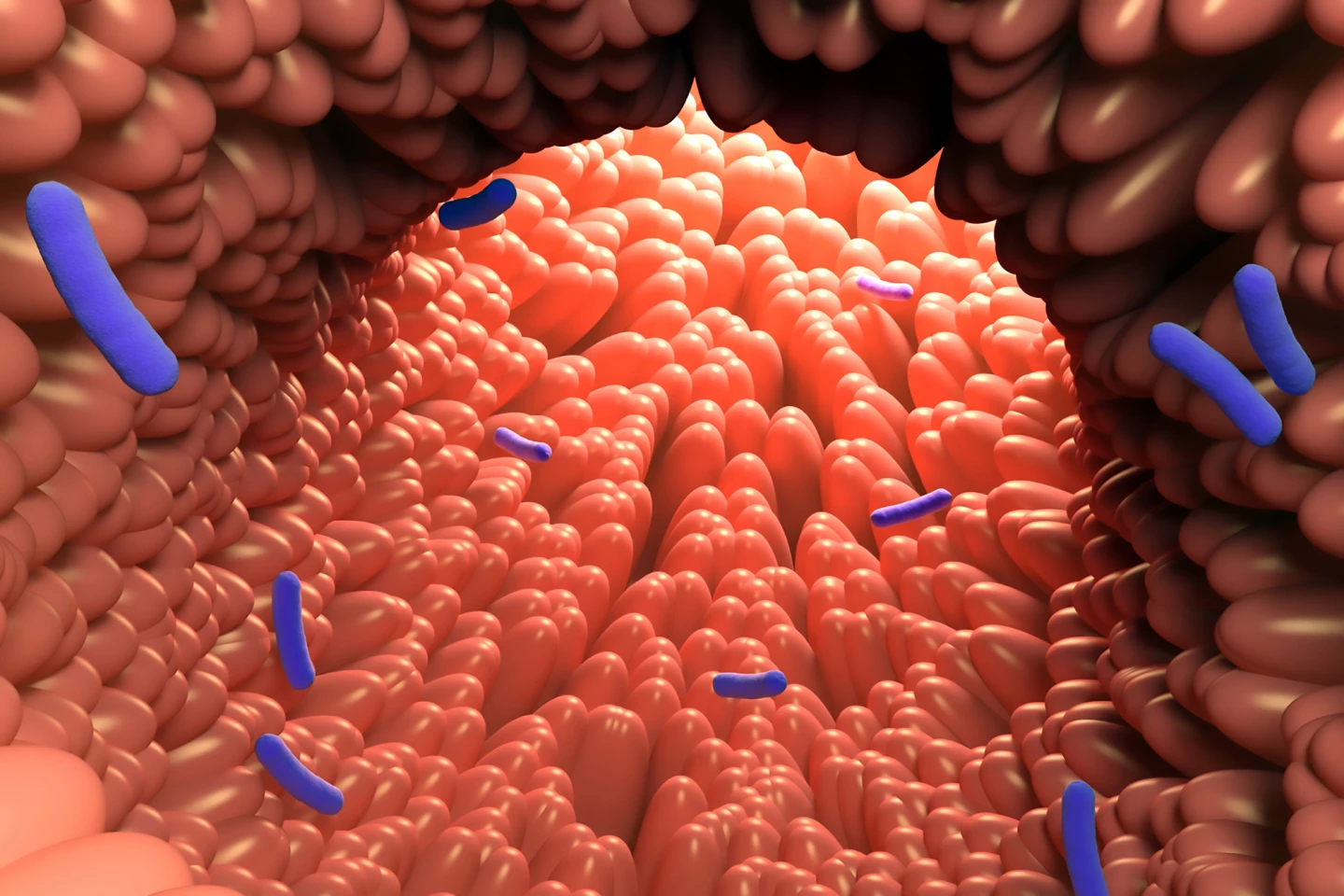 The findings suggest a non-drug obesity treatment that involves encouraging the growth of tryptophan-metabolizing gut bacteria
