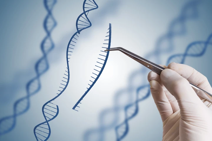 Harvard and MIT researchers have developed a new CRISPR gene-editing system called prime editing
