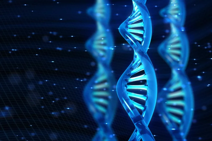 Scientists claim to have created the first stable, replicating semisynthetic organism to contain an extra pair of artificial bases in its genetic code