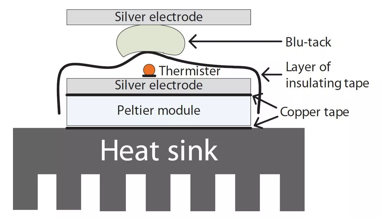 Tongue interface for combined electrical and thermal stimulation (Photo: National University of Singapore)