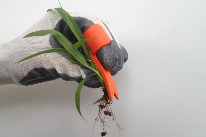 What the weeds look like once pulled out of the ground with Ring Weeder
