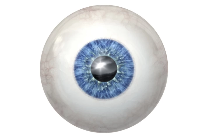 Physicians at the University of Wisconsin-Madison have succeeded in growing human retinal tissue from stem cells (Image: Shutterstock)