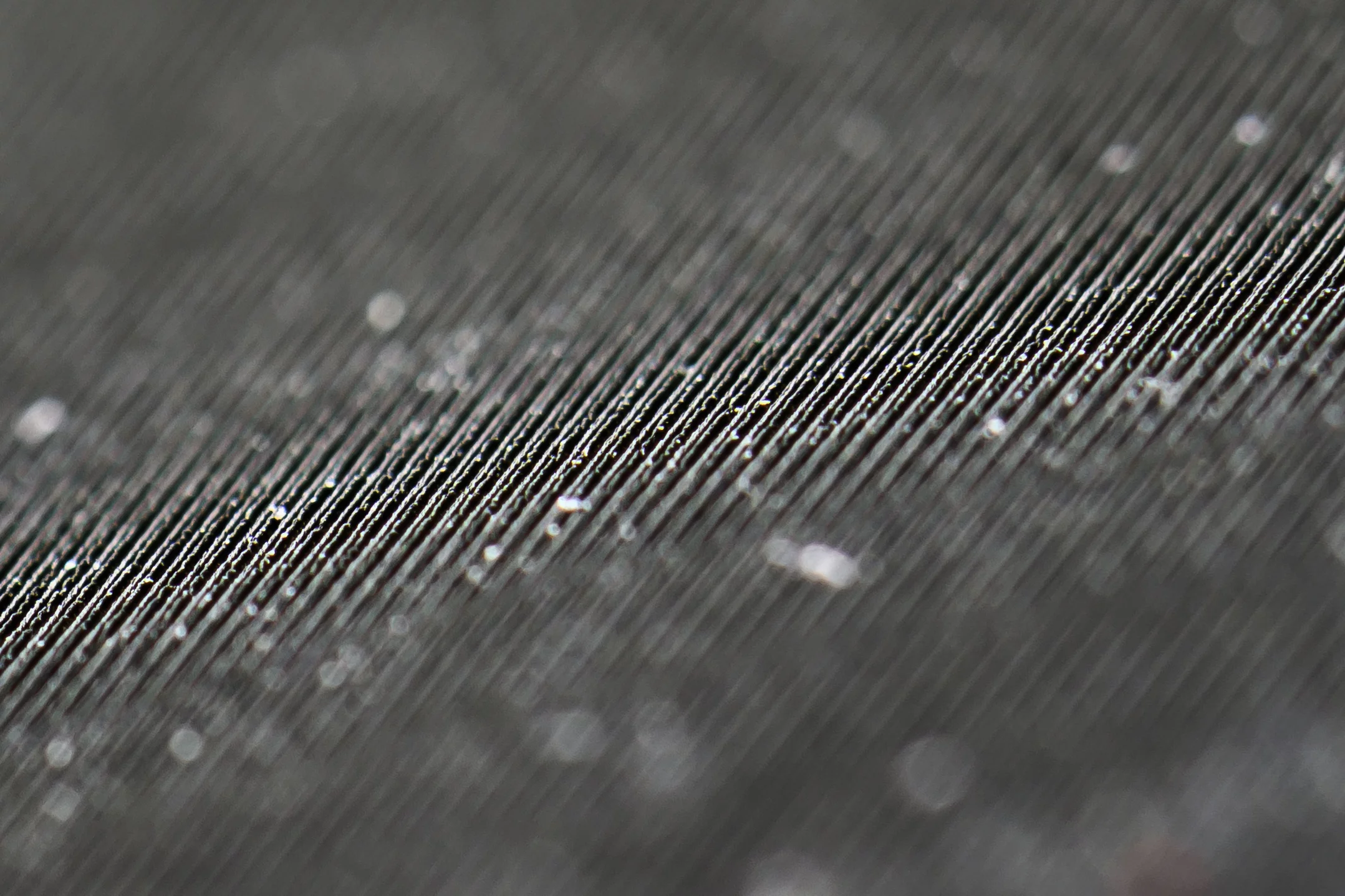 A close-up of the etched tungsten