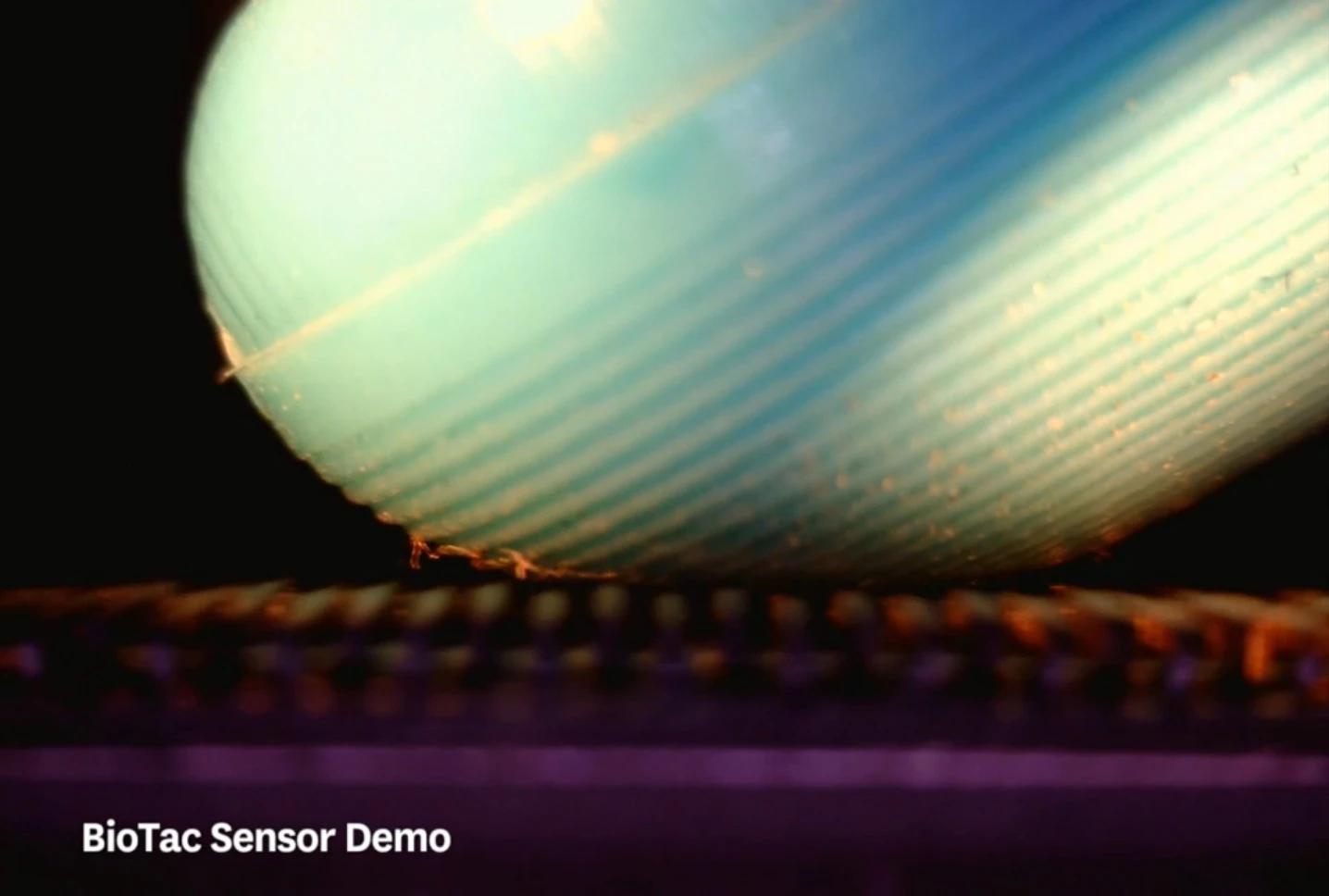 The BioTac sensor's fingerprints enhance the sensor’s sensitivity to vibration