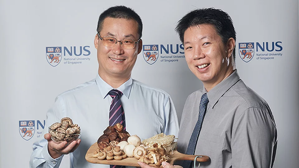 The study was led by Asst. Prof. Feng Lei (left) and Dr. Irwin Cheah