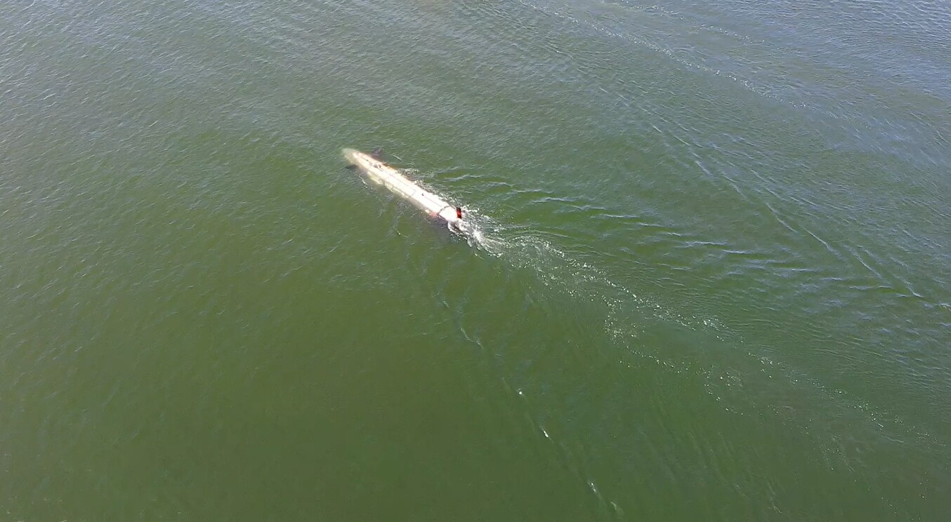 The Solus-LR heads out into Indian Arm inlet