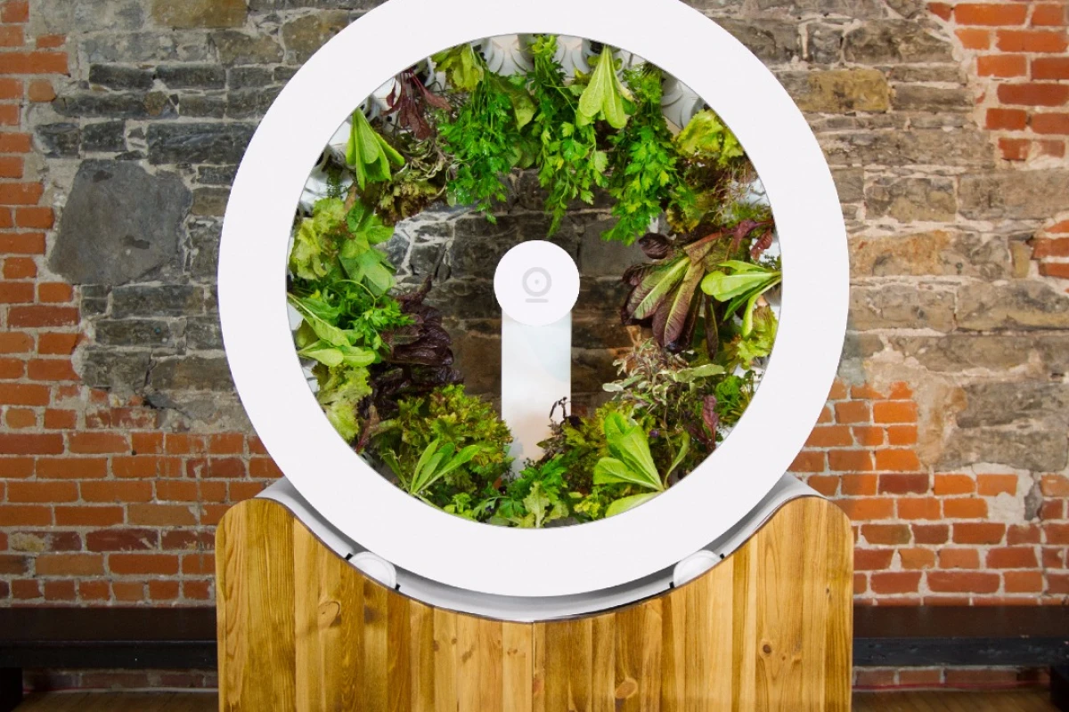 The OGarden can reportedly handle up to 100 plants at once