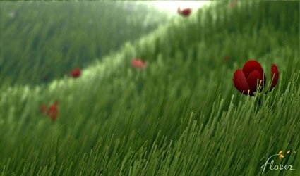 A few of the 200,000 blades of grass
