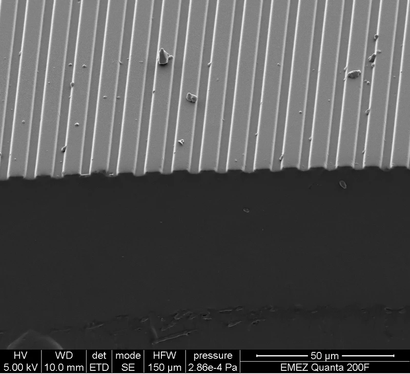 Electron microscope image of ETH's silicone wound-healing plaster (Image: A. Marmaras / ETH Zurich)