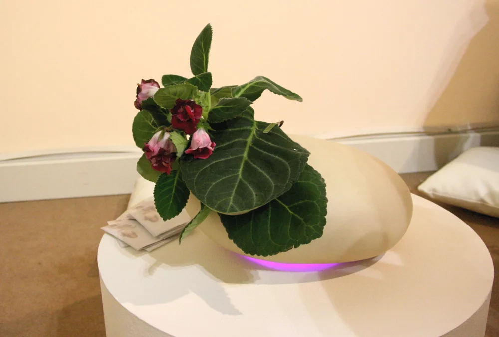 Koishi is a musical plant by Noel Zahra (Photo: Bridget Borgoello/Gizmag)