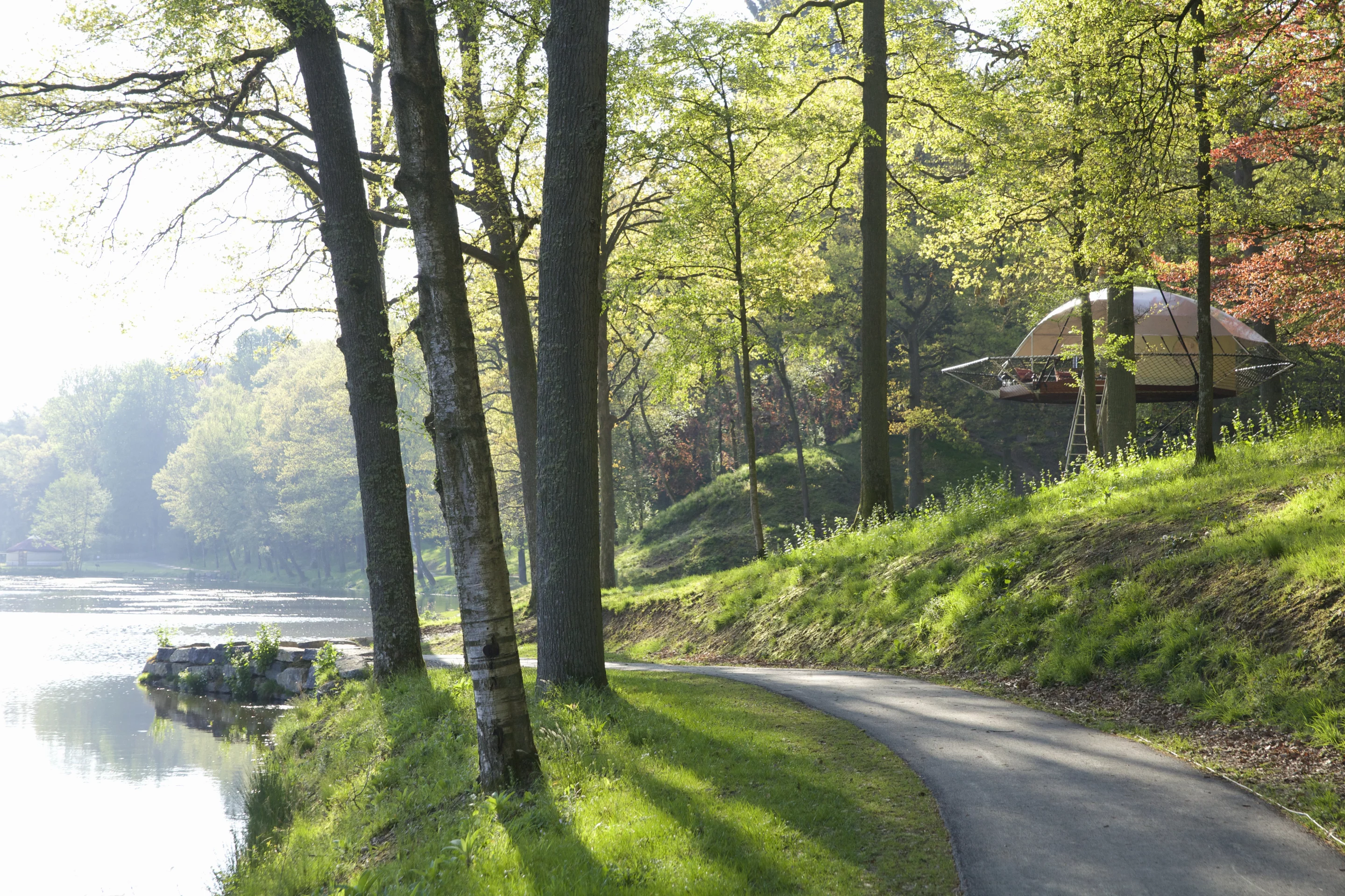 Dom'Up blends into its environment