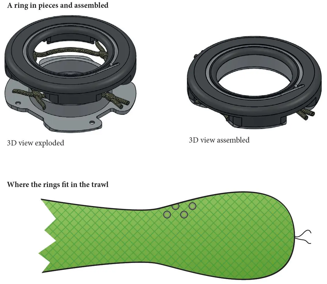 The Escape Rings