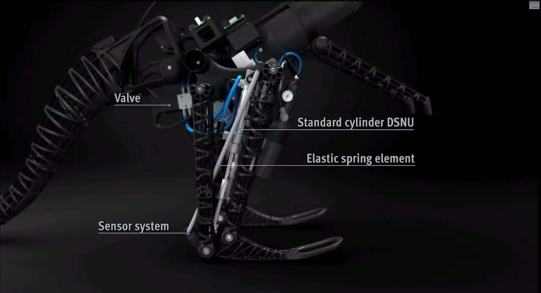 The design includes an elastic spring element which is the equivalent of the achilles tendon in a real animal (Image: Festo)