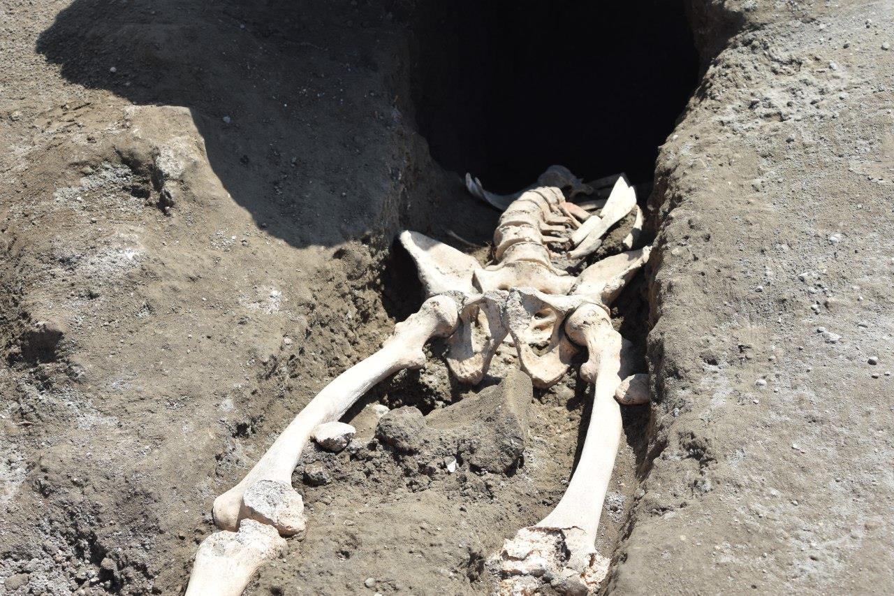 The newly-discovered skeleton has quite a story to tell