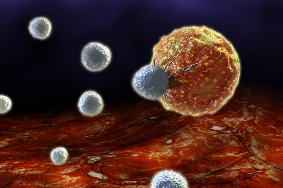 Researchers in Japan have developed a way to rejuvenate immune cells using stem cells, to improve cancer immunotherapy outcomes