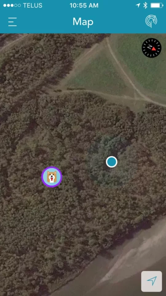 The Findster app's map view