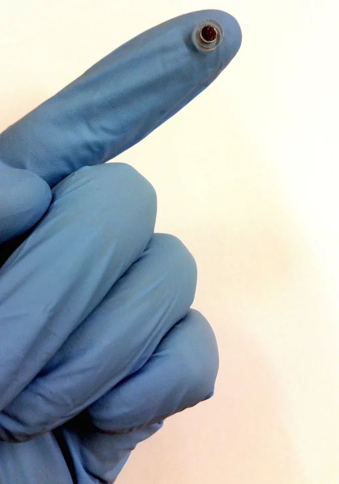 The implant consists of a round polymer body, at the center of which is a silicone sponge containing magnetic carbonyl iron particles