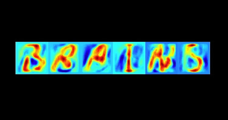 Reconstructed images of letters viewed by the test subjects