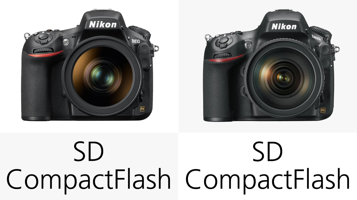 With the Nikon D800/E or D810 there's the option to shoot to one SD memory card and one CompactFlash card