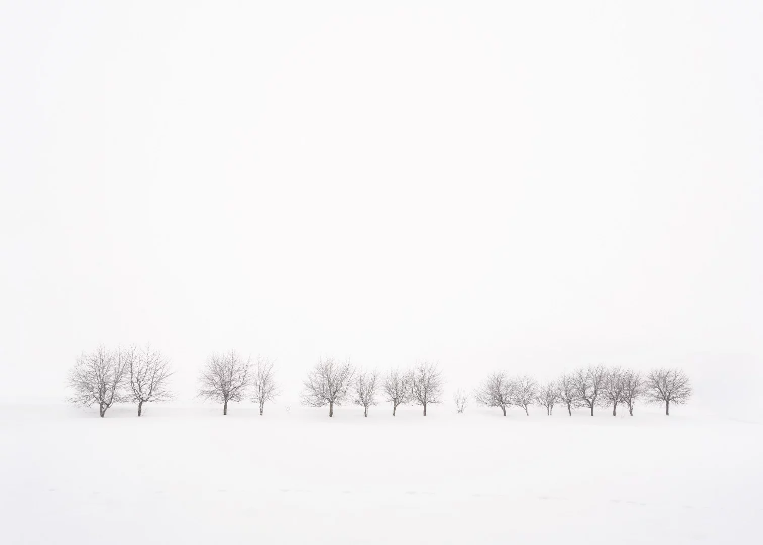 Hokkaido, Japan. From the top 101 entries