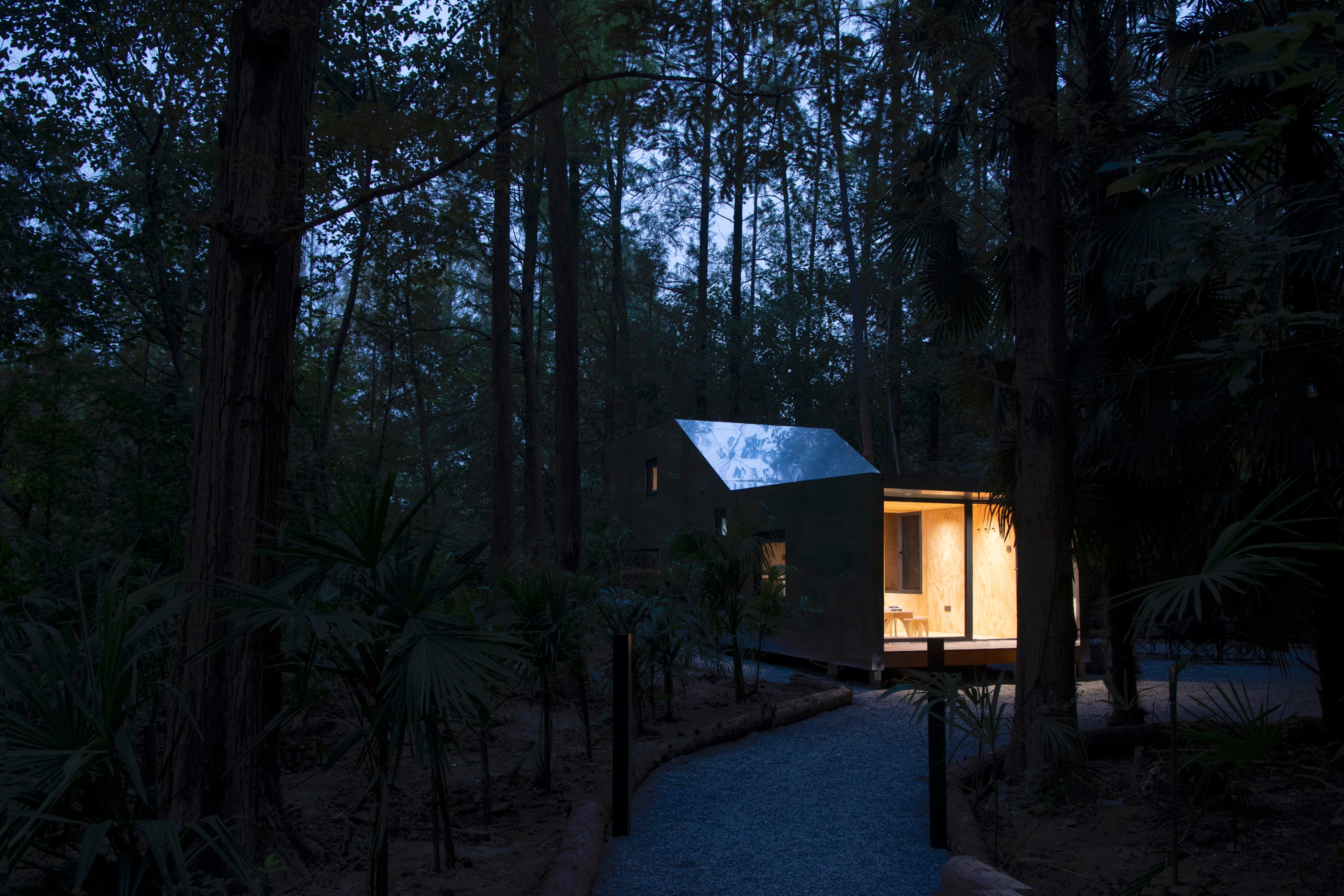 The forest remains fully preserved beneath every elevated cabin