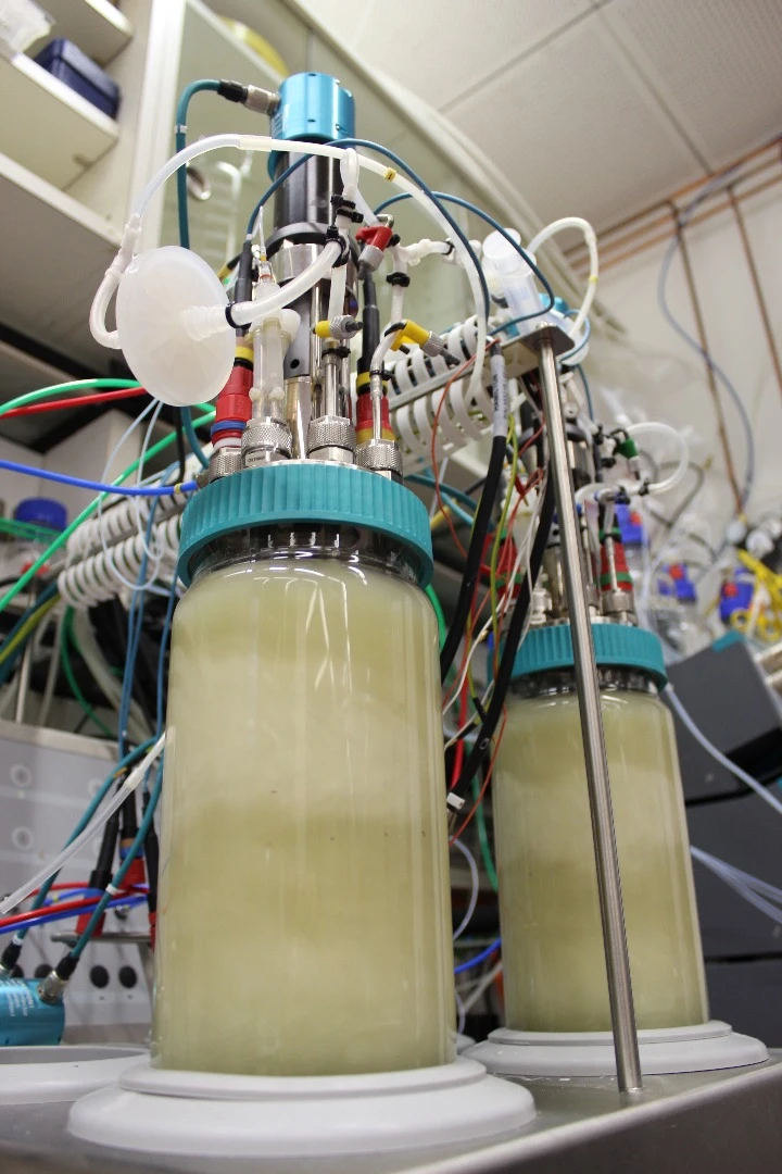 The researchers recreated Enceladus-like conditions in the lab, and subjected a deep-sea species of bacteria to them to see how well they survived