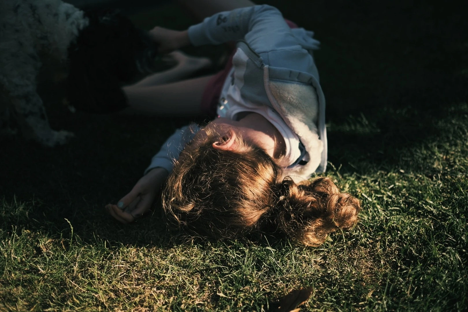 Finalist in The Great Outdoors category of the 2018 EyeEm Awards: Shot in the photographer's back garden in Middlesbrough, England