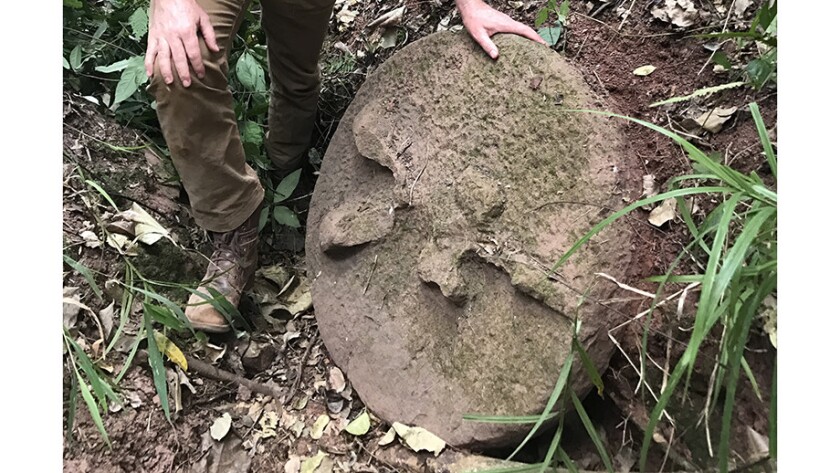 The disc carvings sometimes displayed animal imagery