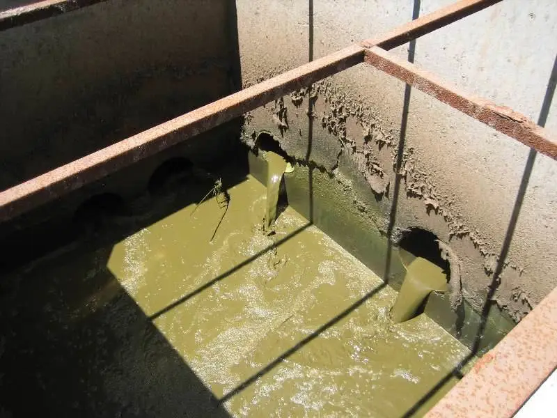 Manure slurry supplied to the digester