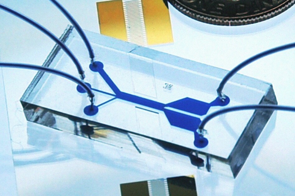The device, roughly the same size as a dime, has the potential to revolutionize cell sorting (Photo: MIT)