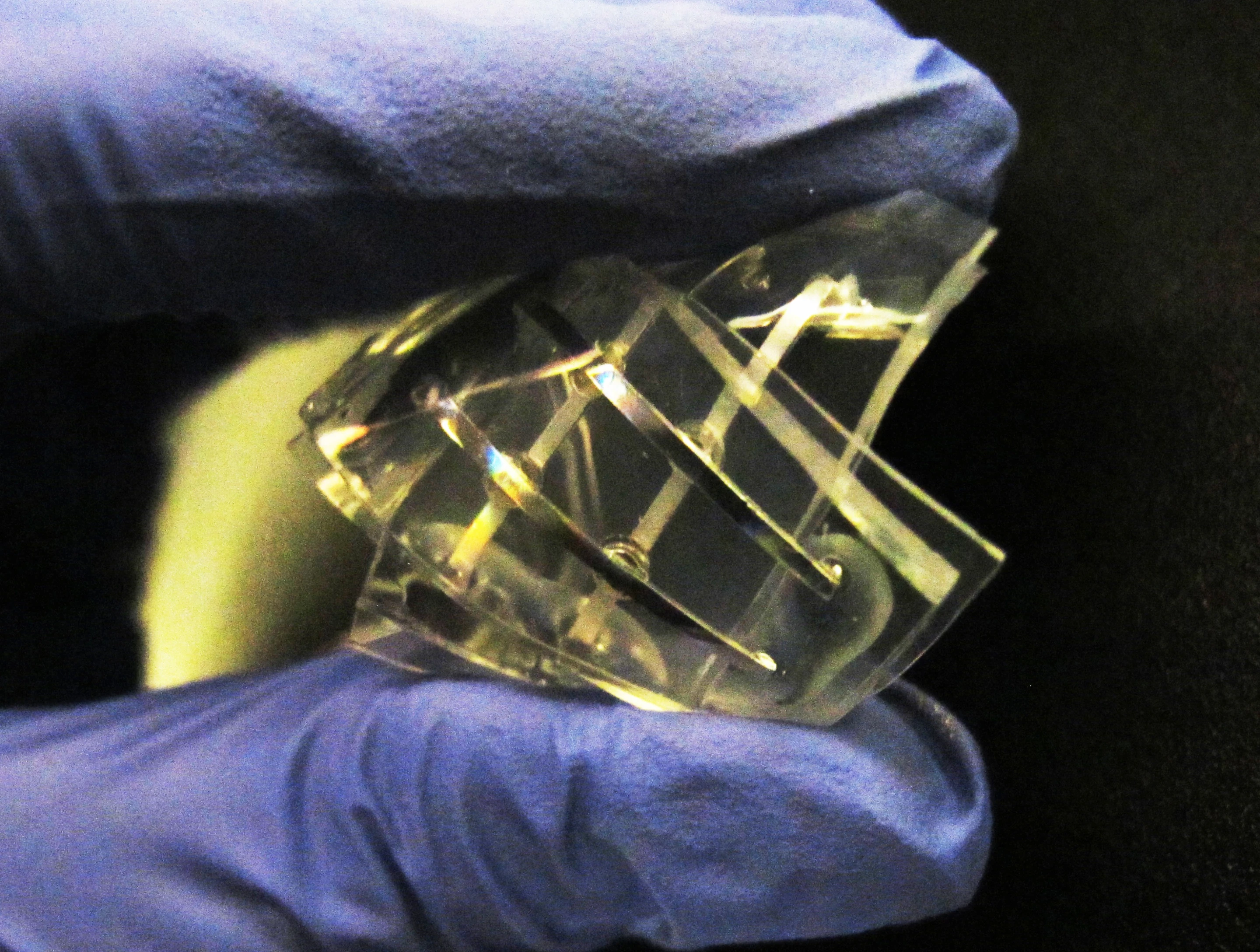Researchers have developed a memory device that is soft and squishy, and not affected by wet environments (Photo: Michael Dickey, North Carolina State University)