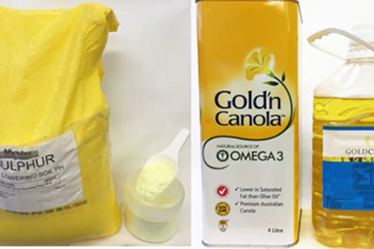 The mercury-soaking polymer is made from sulphur and canola oil