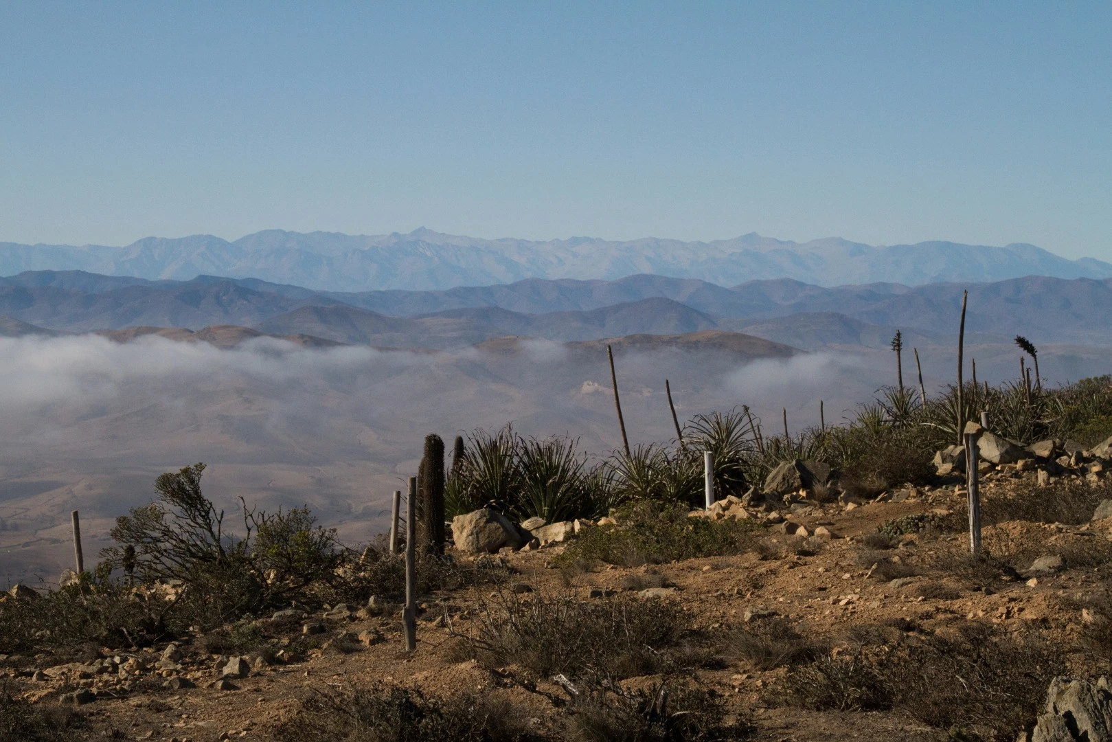 Chile's geographers, engineers and academics are probing the Camanchaca for cheaper and more sustainable answers to the water shortage