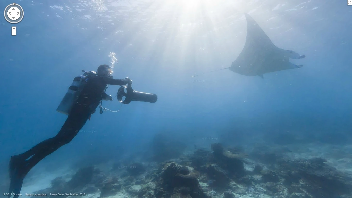 Users can move to different areas of the reef and pan around or zoom in on each one in 360 degrees to spot sea turtles, manta rays, living coral, and even some accompanying divers and snorkelers