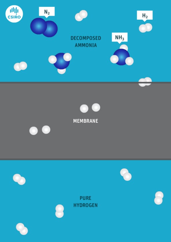 Diagram of the CSIRO process