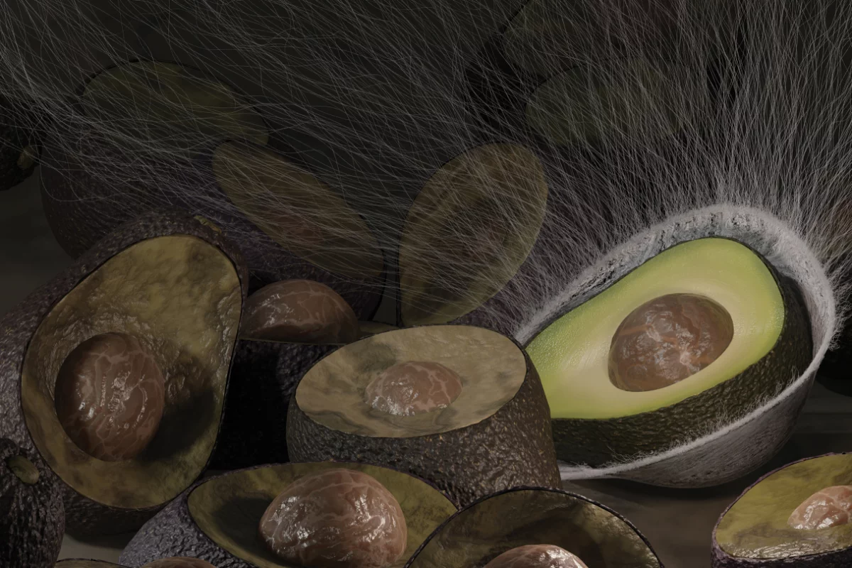 A new antibacterial coating made from plant materials prevents food spoilage