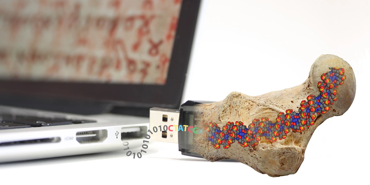 In the search for ways to store data permanently, ETH researchers have been inspired by fossils (Photo: Philipp Stössel/ETH Zurich)