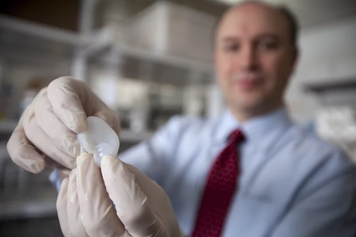 Researcher Lawrence Bonassar holds a fabricated ear created with a 3D printer (Photo: Lindsay France/Cornell University Photography)
