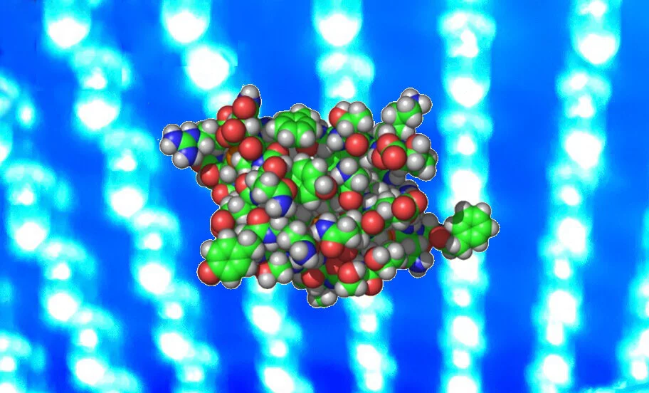 An atomic model of insulin, a hormone that's key to diabetes