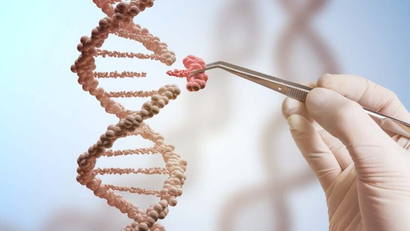 Researchers have used CRISPR-Cas9 to target DNA sequences specific to cancer, shrinking tumors and improving the survival rates of cancer-stricken mice