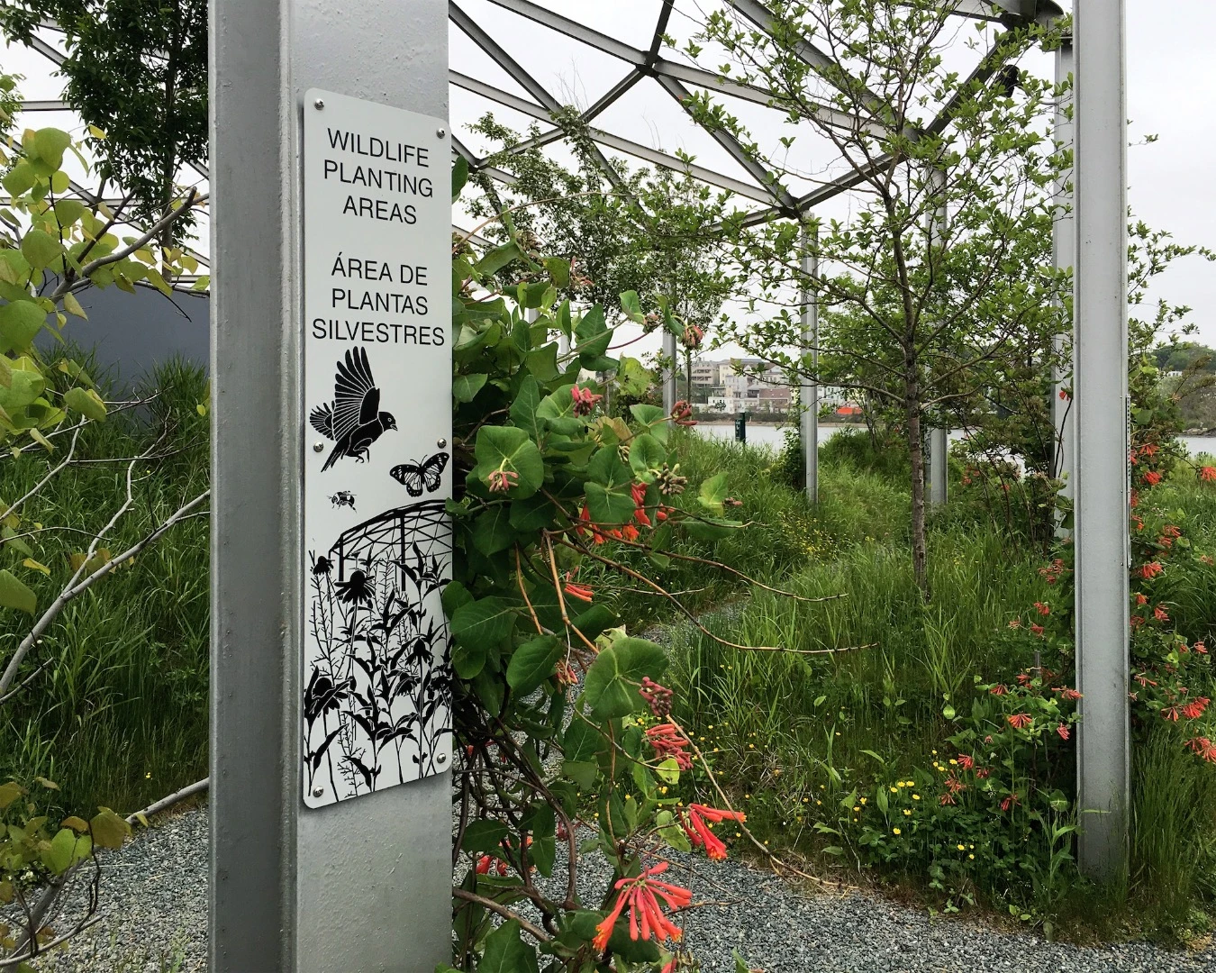 Rock Chapel Marine creates much-needed green space for the area