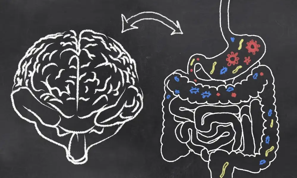 The study found personality traits such as sociability could be linked to certain gut bacteria species
