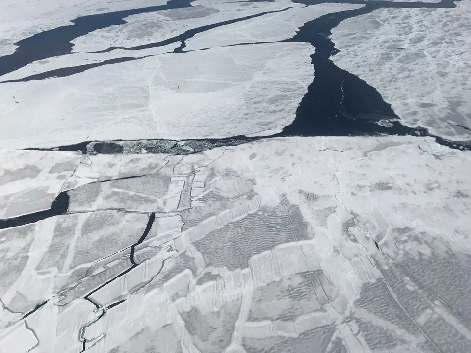 Finger-rafted sea ice